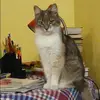 Отзыв от Эльвира Князева